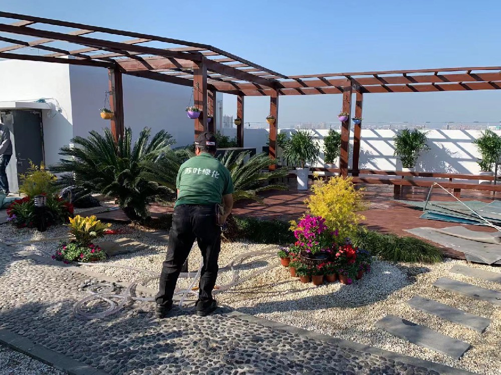 屋頂花園養(yǎng)護(hù)